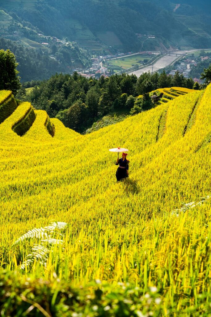 mountains, plateau, nature, step, field, people, rice, countryside, outdoors, agriculture